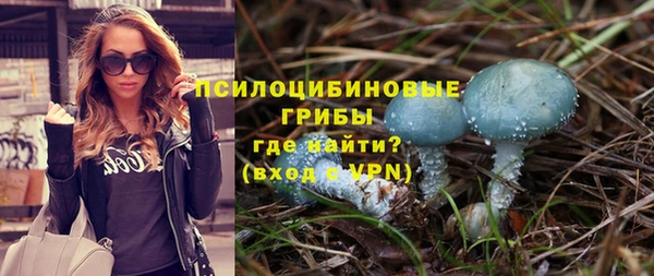 ALPHA-PVP Алексин