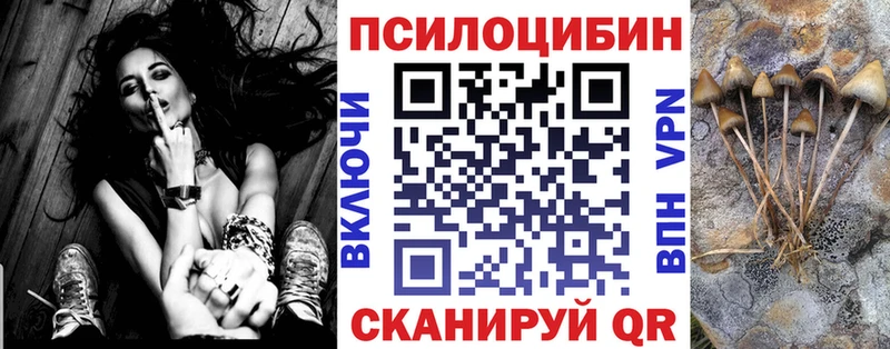 купить закладку  Сорочинск  мориарти официальный сайт  Галлюциногенные грибы Psilocybe 